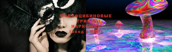 прущие грибы Алзамай