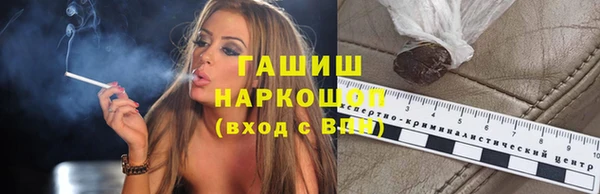 прущие грибы Алзамай