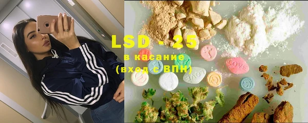 прущие грибы Алзамай