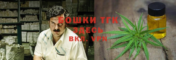 прущие грибы Алзамай